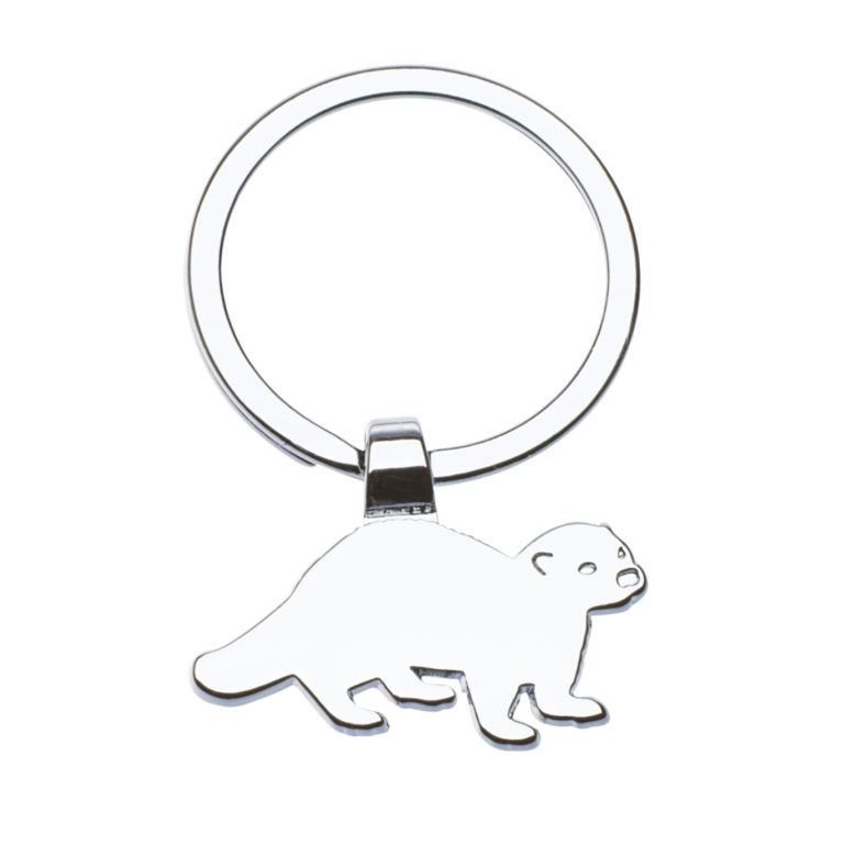 River otter