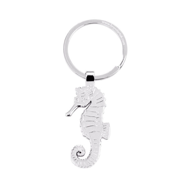 Seahorse