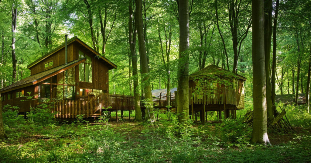 Forest Holidays Three Amazing Natural Beauties in the UK to Visit this Summer